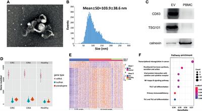 Plasma Extracellular Vesicle Long RNAs Have Potential as Biomarkers in Early Detection of Colorectal Cancer